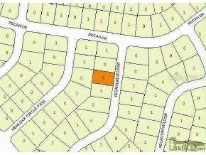 Pecan Dr Loop, Ocala, FL 34472
