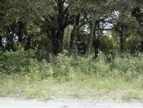 134 Pl., Belleview, FL 34420