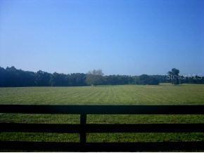 0000 SE 115th St., Belleview, FL 34420