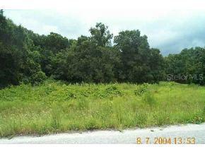 Locust Dr Ct., Ocala, FL 34472