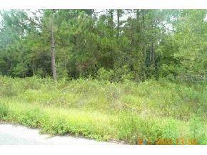 Locust Rn Rad, Ocala, FL 34472