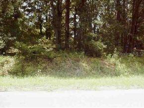 SE 44 Ter., Summerfield, FL 34491