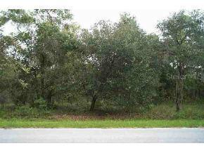 NW Shamrock, Dunnellon, FL 34431