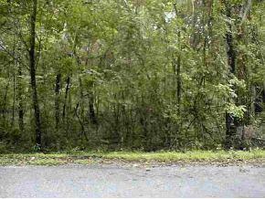 SE 130 St., Belleview, FL 34420