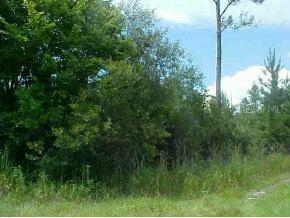NE 234 Pl Null Rd., Orange Springs, FL 32134