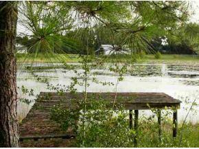 SE 95 Pl., Ocklawaha, FL 32179