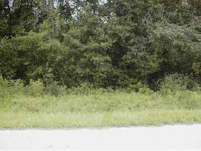 SE 140 St., Summerfield, FL 34491