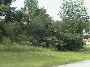 SW 159 Ln., Ocala, FL 34473