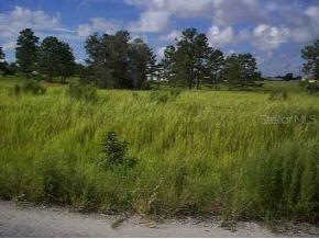 Bahia Court Ln., Ocala, FL 34472