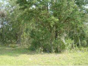SE 115 Ave., Ocklawaha, FL 32179