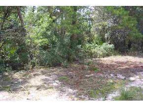 SW 114 St., Ocala, FL 34478