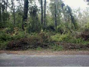 SE 139 St., Belleview, FL 34420