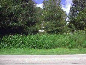 SE 145 St., Summerfield, FL 34491