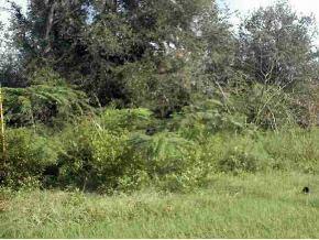 SE 141 Pl., Summerfield, FL 34491