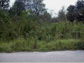 SE 134 Pl., Belleview, FL 34420