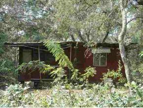 10876 SE 186 Ave., Ocklawaha, FL 32179