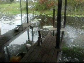 17941 SE 51 St., Ocklawaha, FL