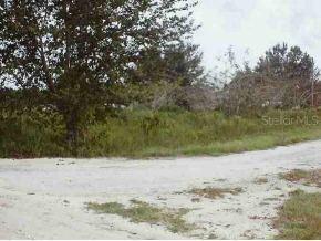 SE 34 Ct., Summerfield, FL 34491