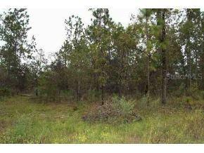 NW 165 Ave Rd., Ocala, FL 34481
