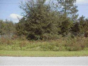 SE 44 Ct., Belleview, FL 34420