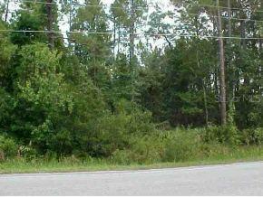 NE Highway 316 Null, Fort Mccoy, FL 32134