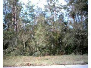 SW 22 Terr Rd., Ocala, FL 34482