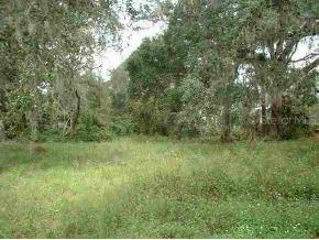SE 149 St., Summerfield, FL 34491