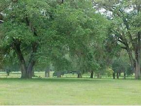 15400 N Highway 27, Ocala, FL 34482