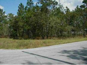Pecan Dr Pass, Ocala, FL 34472