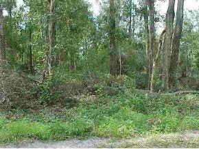SE 44 Ct., Belleview, FL 34420