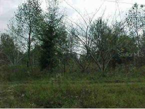 SE 140 Ln., Belleview, FL 34420