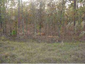 123 Ter., Ocala, FL 34481