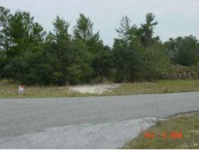 SW 176 Loop, Ocala, FL 34473