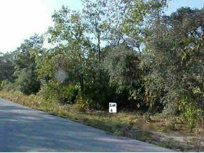 LOT 4 Lot 4 Fisher Crse Loop, Ocala, FL 34472