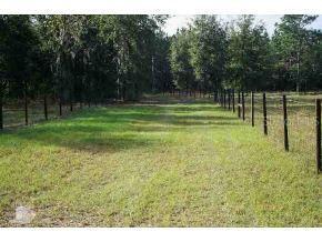 16651 NE 10 St., Williston, FL 32696