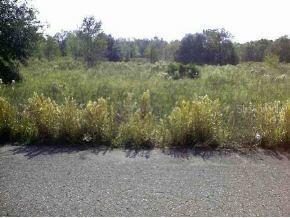 Magnolia Dr., Ocklawaha, FL 32179