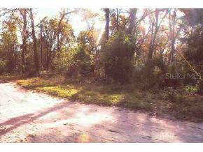 SE 174 Pl., Summerfield, FL 34491