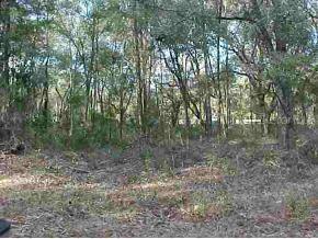 NE 160 Ln., Citra, FL 32113