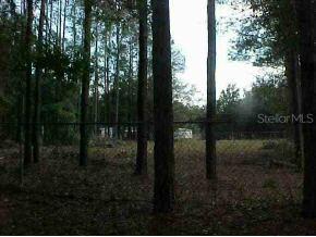 NE 164 Pl., Citra, FL 32113