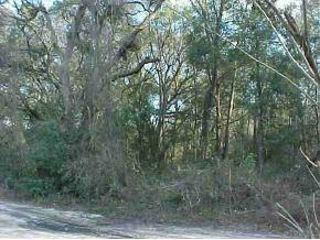 NE 161 St., Citra, FL 32113