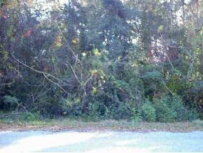SE 137 Ln., Summerfield, FL 34491