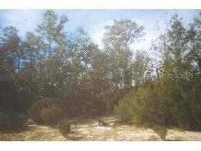 NE 107 Ct., Bronson, FL 32621