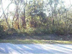 SE 53 Ter., Summerfield, FL 34491