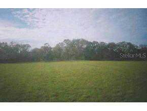 NE 120 Ave., Williston, FL 32696