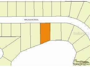 Malauka Radial Rd., Ocklawaha, FL 32179
