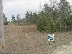 LOT 32 SE Lot 32 91st Court Rd., Summerfield, FL 34491