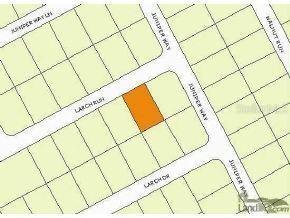 Larch Run, Ocala, FL 34480