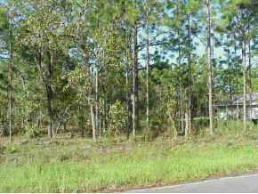 Hemlock Loop, Ocala, FL 34472