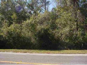 Highway 41, Williston, FL 32696