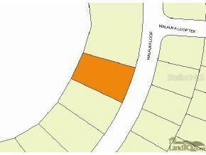 Maluaka Loop, Ocklawaha, FL 32179